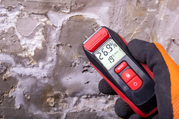 Best Attic Mold Removal  in Conning Towers Nautilus Park, CT