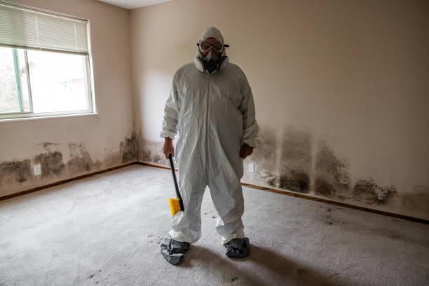Best Mold Damage Repair  in Conning Towers Nautilus Park, CT